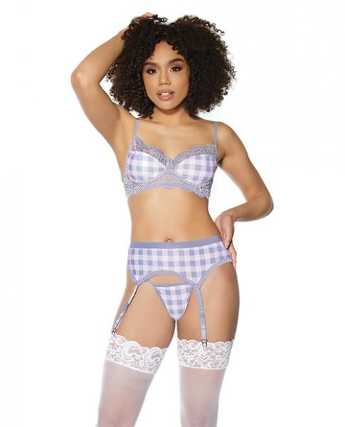 Crystal Pink Buffalo Check Print, Bra, Garter Belt & String Grey/pink Xl - Click Image to Close