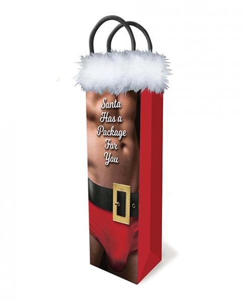 Santa Has A Package Gift Bag