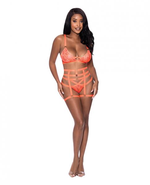 Rude Awakening Bralette, Thigh High Garter & Cheeky Panty Orange L/xl - Click Image to Close