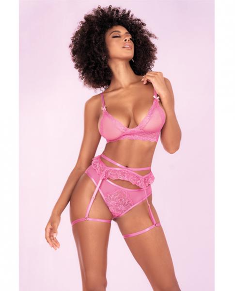 Floral Lace Bra, Ruffle Garter Belt & Panty Sunset Pink L/xl - Click Image to Close