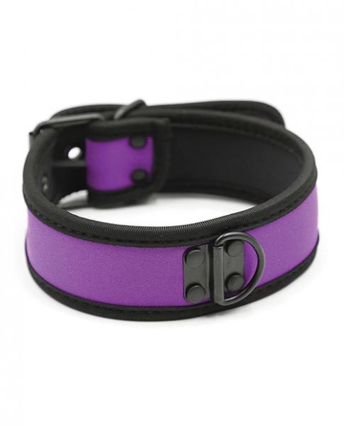 Plesur Neoprene Puppy Collar - Purple - Click Image to Close