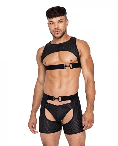 Master Harness W/hook & Ring Closure Black Lg - Click Image to Close