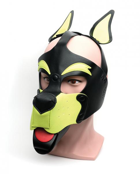 665 Playful Pup Hood - O/s Black/yellow