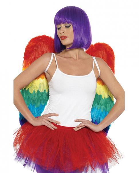 Rainbow Large Feather Wings - Click Image to Close