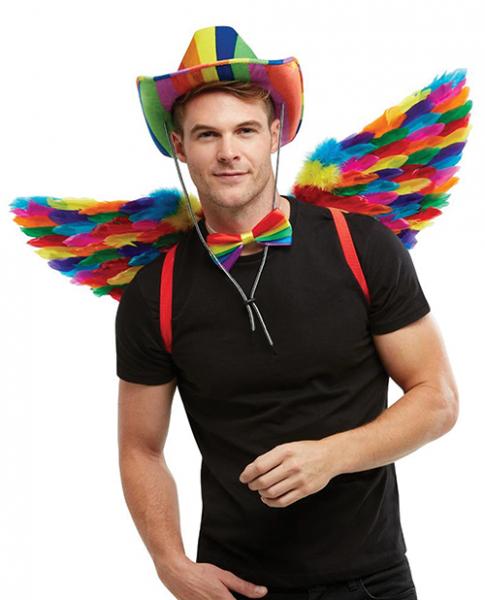 Rainbow Small Feather Wings - Click Image to Close