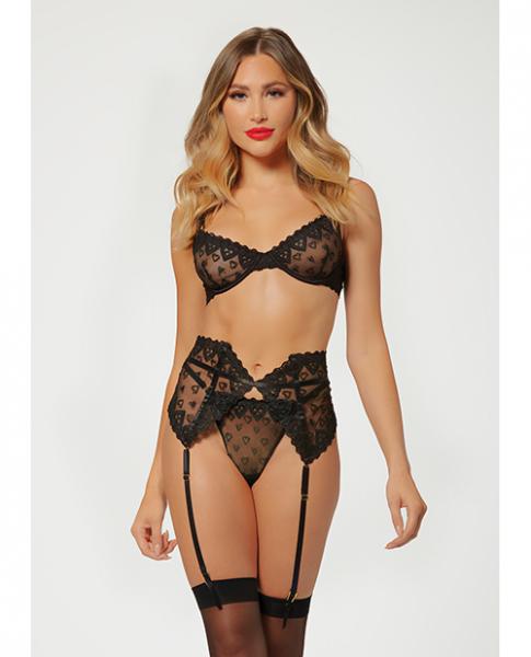 Valentines Heart Embroidered Mesh Bra, Waspie & Panty Black Md - Click Image to Close