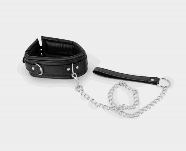 Collar & Leash - Click Image to Close