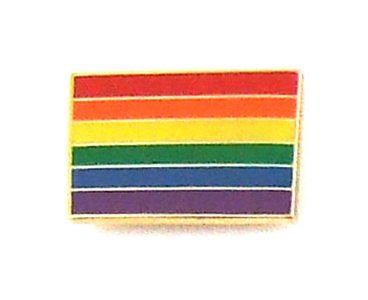 Gaysentials Lapel Pin Rainbow Flag - Click Image to Close