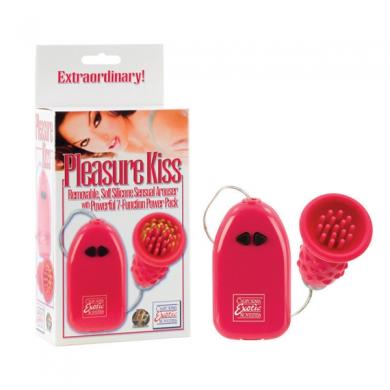 Pleasure Kiss Pink