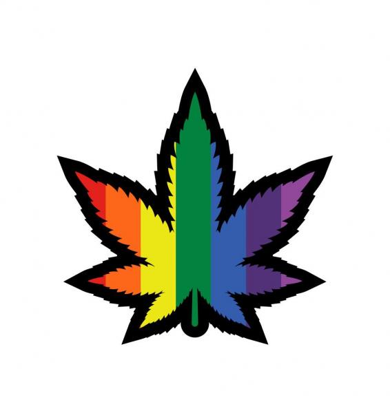 Rainbow Marijuana Leaf Pin (net)