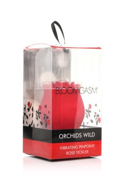 Bloomgasm Orchid Wild Pinpoint Rose Tickler - Click Image to Close